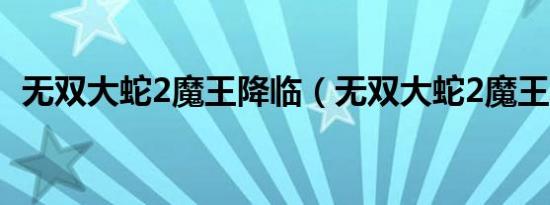 无双大蛇2魔王降临（无双大蛇2魔王再临）