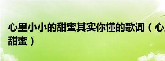 心里小小的甜蜜其实你懂的歌词（心里小小的甜蜜）