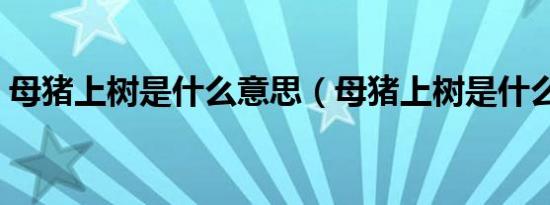母猪上树是什么意思（母猪上树是什么生肖）