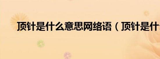 顶针是什么意思网络语（顶针是什么）