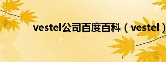 vestel公司百度百科（vestel）