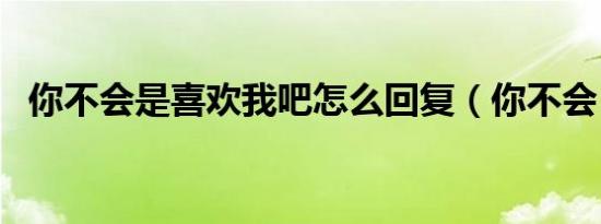 你不会是喜欢我吧怎么回复（你不会 she）