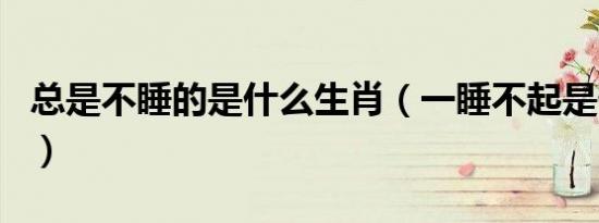 总是不睡的是什么生肖（一睡不起是什么生肖）