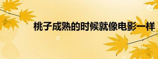 桃子成熟的时候就像电影一样