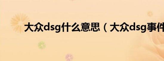 大众dsg什么意思（大众dsg事件）