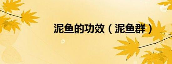 泥鱼的功效（泥鱼群）