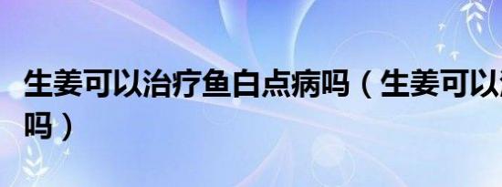 生姜可以治疗鱼白点病吗（生姜可以治疗脱发吗）