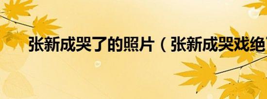 张新成哭了的照片（张新成哭戏绝了）