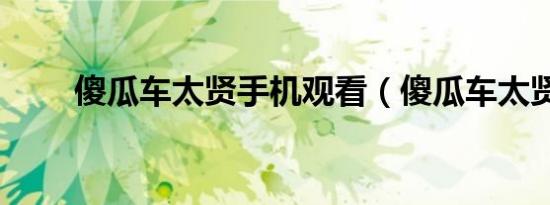 傻瓜车太贤手机观看（傻瓜车太贤）