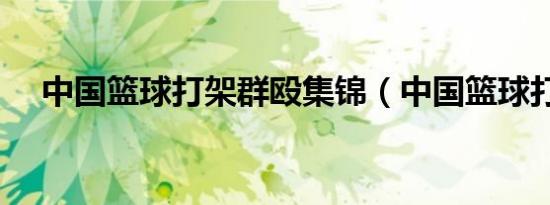 中国篮球打架群殴集锦（中国篮球打架）