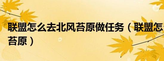 联盟怎么去北风苔原做任务（联盟怎么去北风苔原）