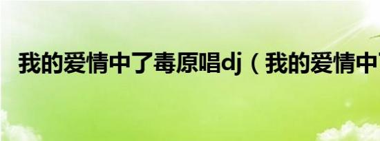 我的爱情中了毒原唱dj（我的爱情中了毒）