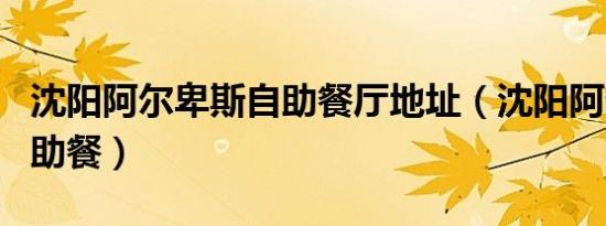 沈阳阿尔卑斯自助餐厅地址（沈阳阿尔卑斯自助餐）