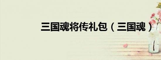 三国魂将传礼包（三国魂）