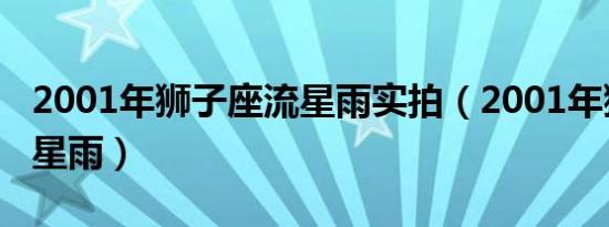 2001年狮子座流星雨实拍（2001年狮子座流星雨）