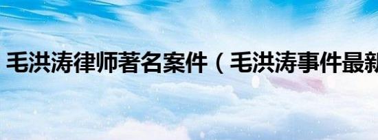 毛洪涛律师著名案件（毛洪涛事件最新进展）