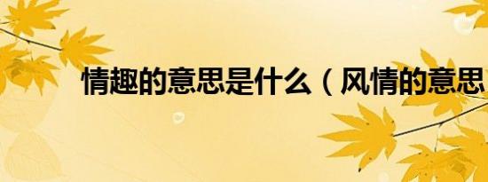 情趣的意思是什么（风情的意思）