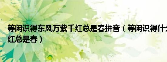 等闲识得东风万紫千红总是春拼音（等闲识得什么面万紫千红总是春）