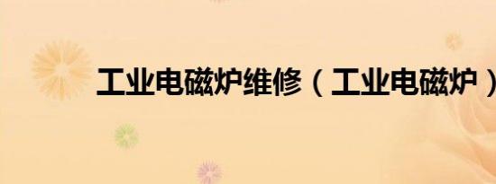 工业电磁炉维修（工业电磁炉）
