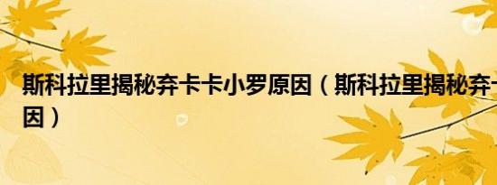 斯科拉里揭秘弃卡卡小罗原因（斯科拉里揭秘弃卡卡小罗原因）