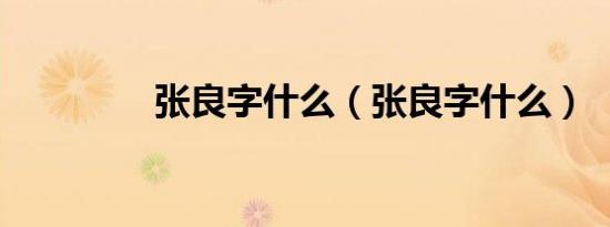 张良字什么（张良字什么）