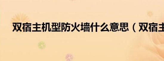 双宿主机型防火墙什么意思（双宿主机）