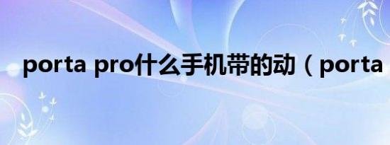 porta pro什么手机带的动（porta pro）