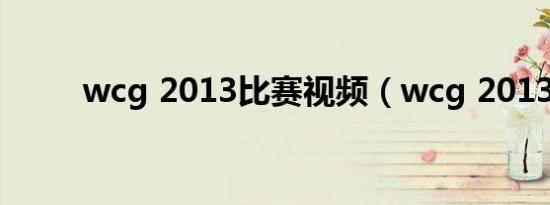 wcg 2013比赛视频（wcg 2013）