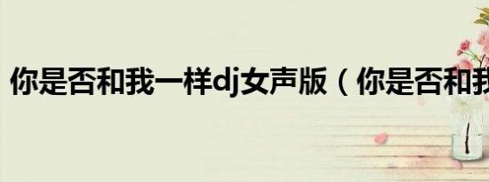 你是否和我一样dj女声版（你是否和我一样）