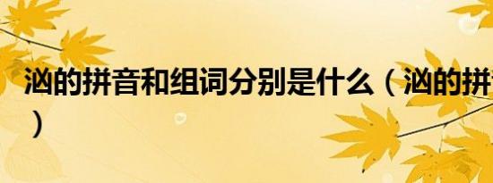 汹的拼音和组词分别是什么（汹的拼音和组词）