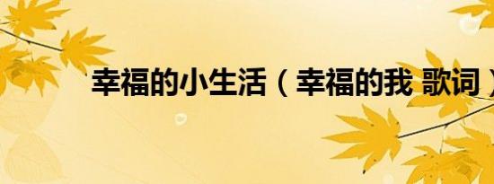 幸福的小生活（幸福的我 歌词）