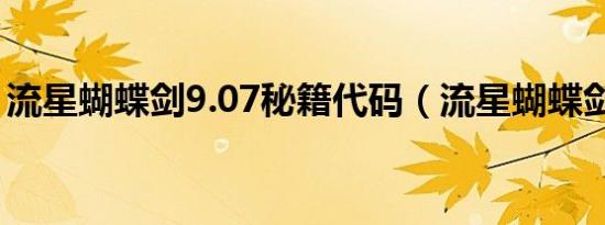 流星蝴蝶剑9.07秘籍代码（流星蝴蝶剑9 07）