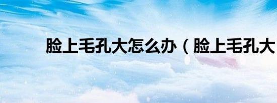 脸上毛孔大怎么办（脸上毛孔大）