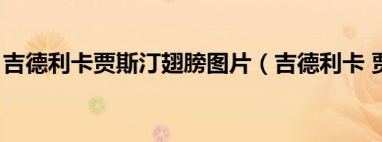 吉德利卡贾斯汀翅膀图片（吉德利卡 贾斯汀）