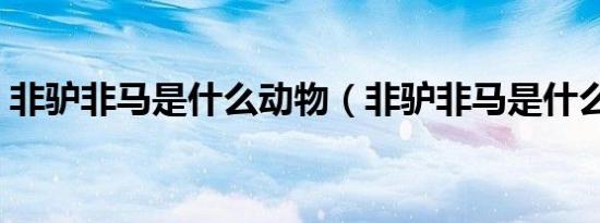 非驴非马是什么动物（非驴非马是什么生肖）