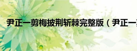 尹正一剪梅披荆斩棘完整版（尹正一剪梅）