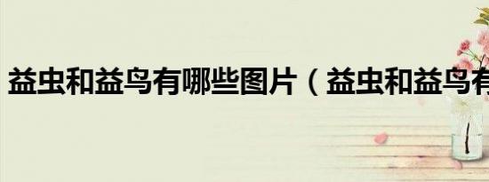益虫和益鸟有哪些图片（益虫和益鸟有哪些）