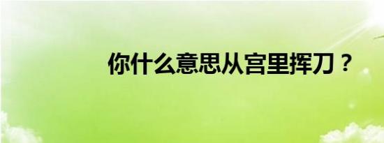 你什么意思从宫里挥刀？
