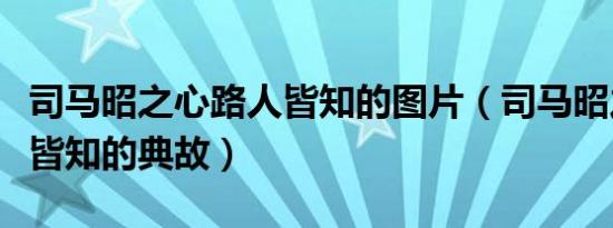 司马昭之心路人皆知的图片（司马昭之心路人皆知的典故）