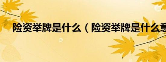 险资举牌是什么（险资举牌是什么意思）