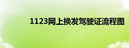 1123网上换发驾驶证流程图