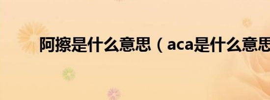 阿擦是什么意思（aca是什么意思）