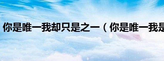 你是唯一我却只是之一（你是唯一我是之一）