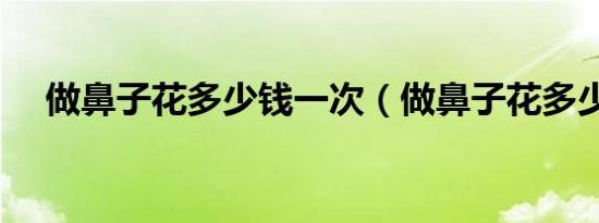 做鼻子花多少钱一次（做鼻子花多少钱）