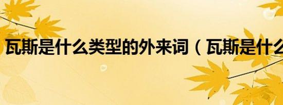 瓦斯是什么类型的外来词（瓦斯是什么意思）