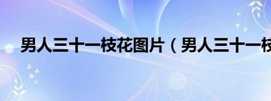 男人三十一枝花图片（男人三十一枝花）