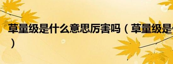 草量级是什么意思厉害吗（草量级是什么意思）