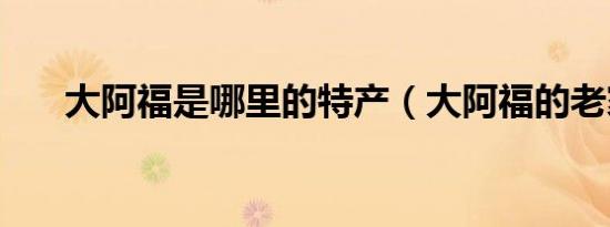 大阿福是哪里的特产（大阿福的老家）
