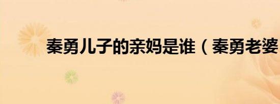 秦勇儿子的亲妈是谁（秦勇老婆）