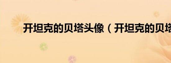 开坦克的贝塔头像（开坦克的贝塔）